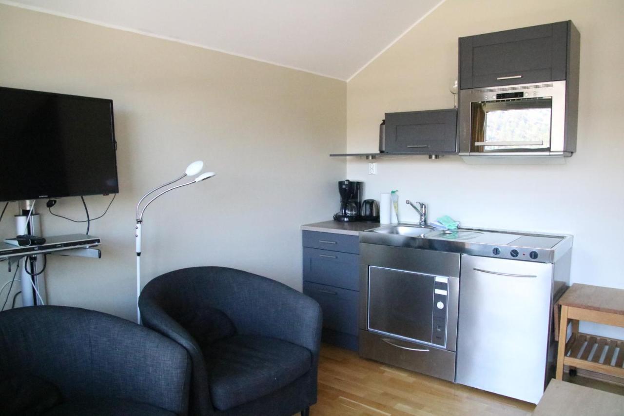 Myrkdalen Resort- Studio Apartment Воссестранн Экстерьер фото